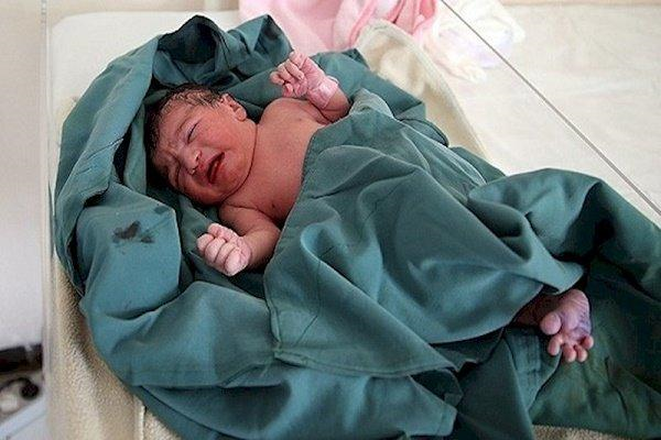 ۱۱هزار و ۲۱۷ تولد طی سال جاری در زنجان